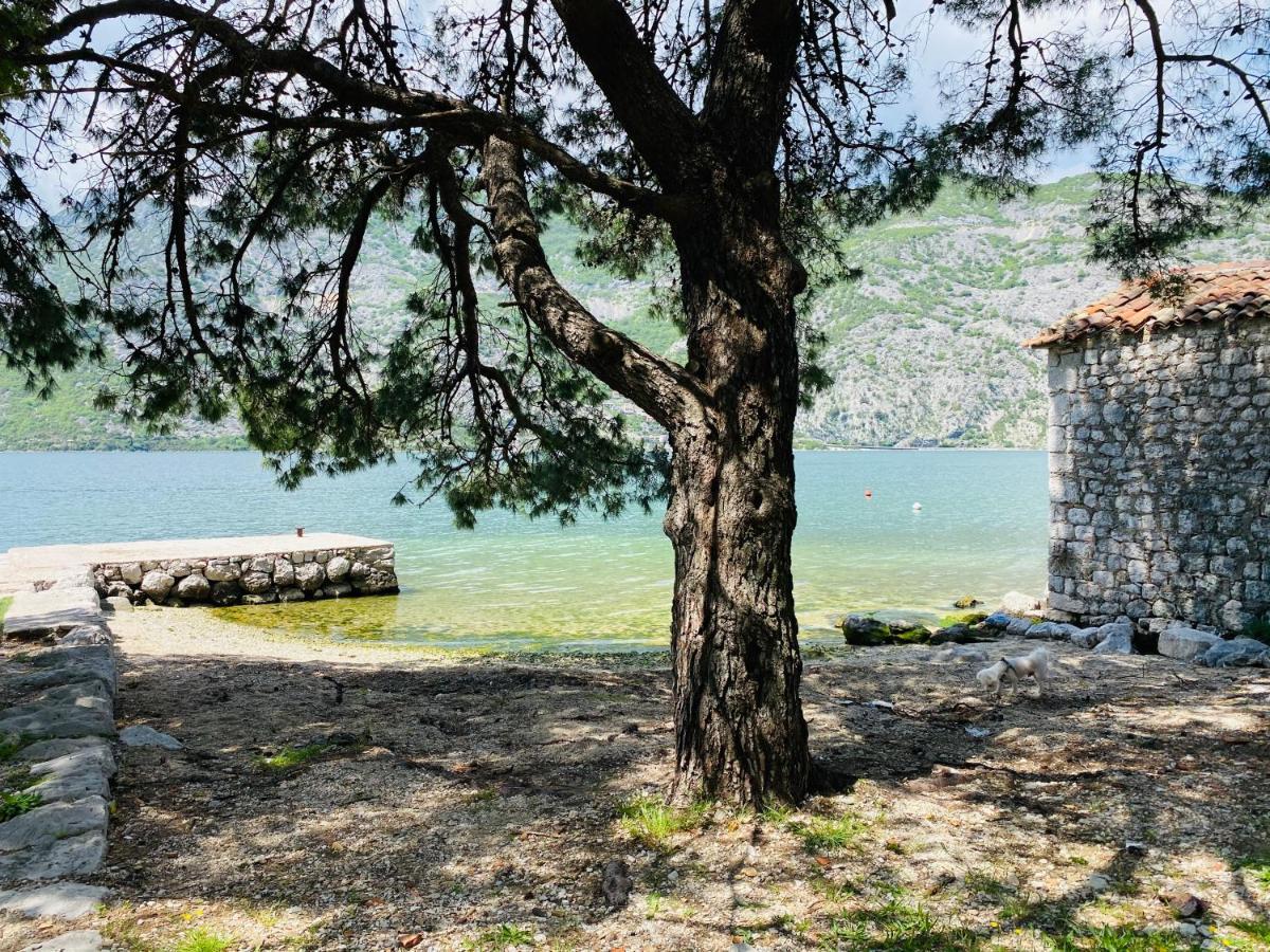 Villa Blanca ريسان المظهر الخارجي الصورة